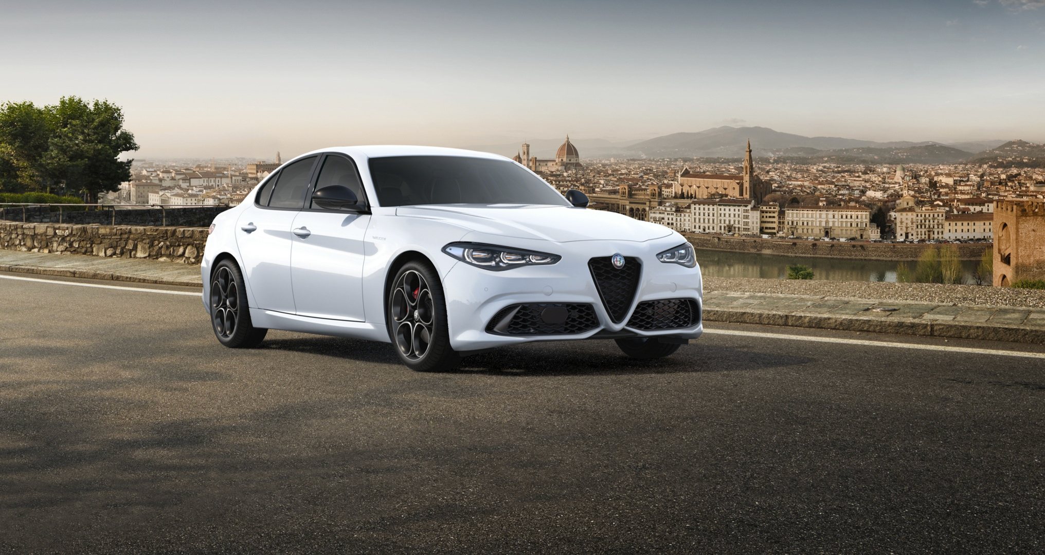 Alfa White
