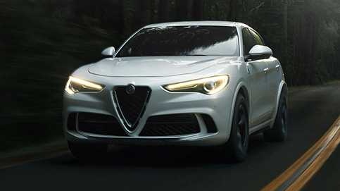 gallery Stelvio Quadrifoglio